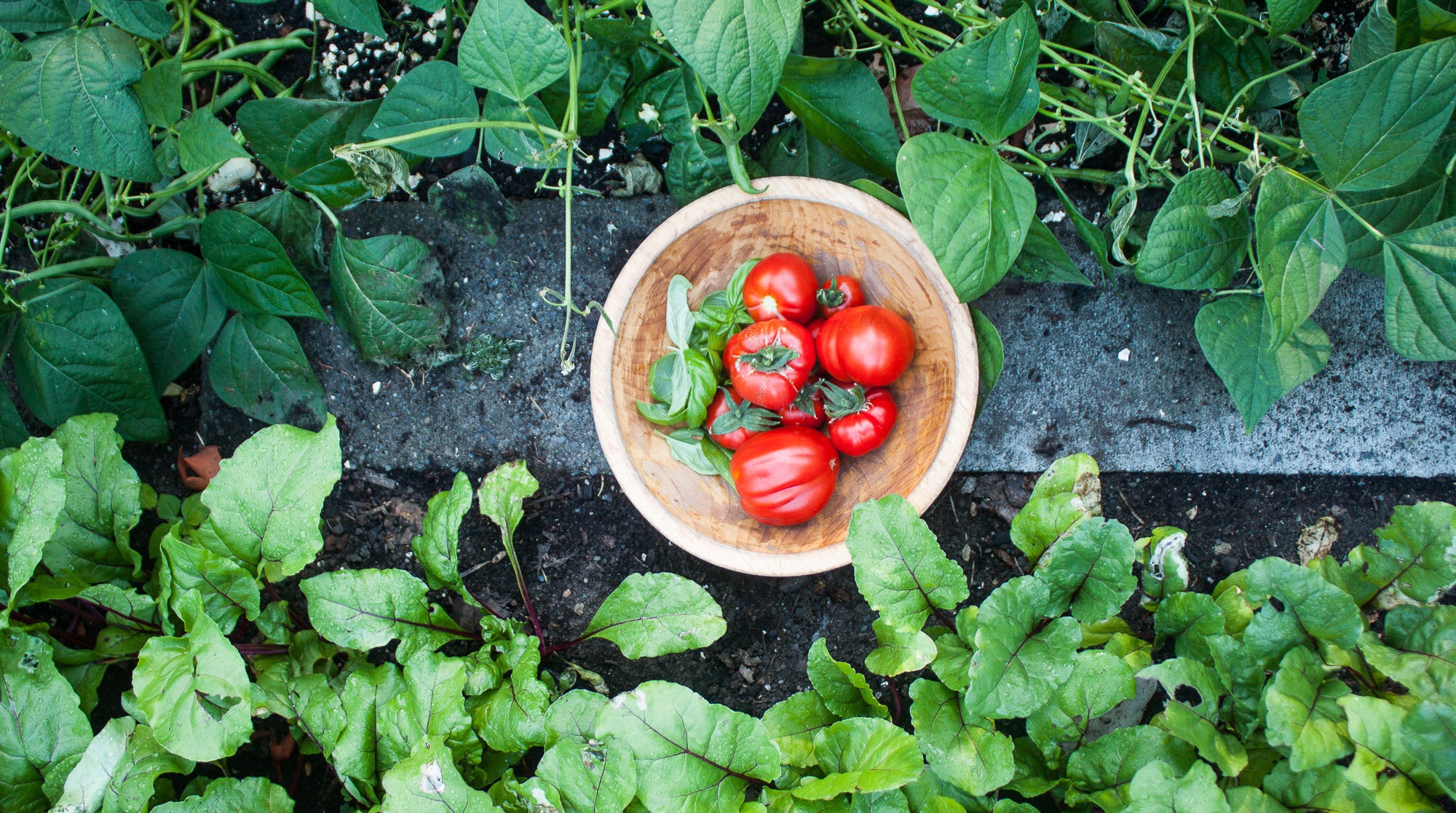 Vegan Sunflower Pâté + A Garden Tour
    
    
    
      &ndash; inpursuitofmore