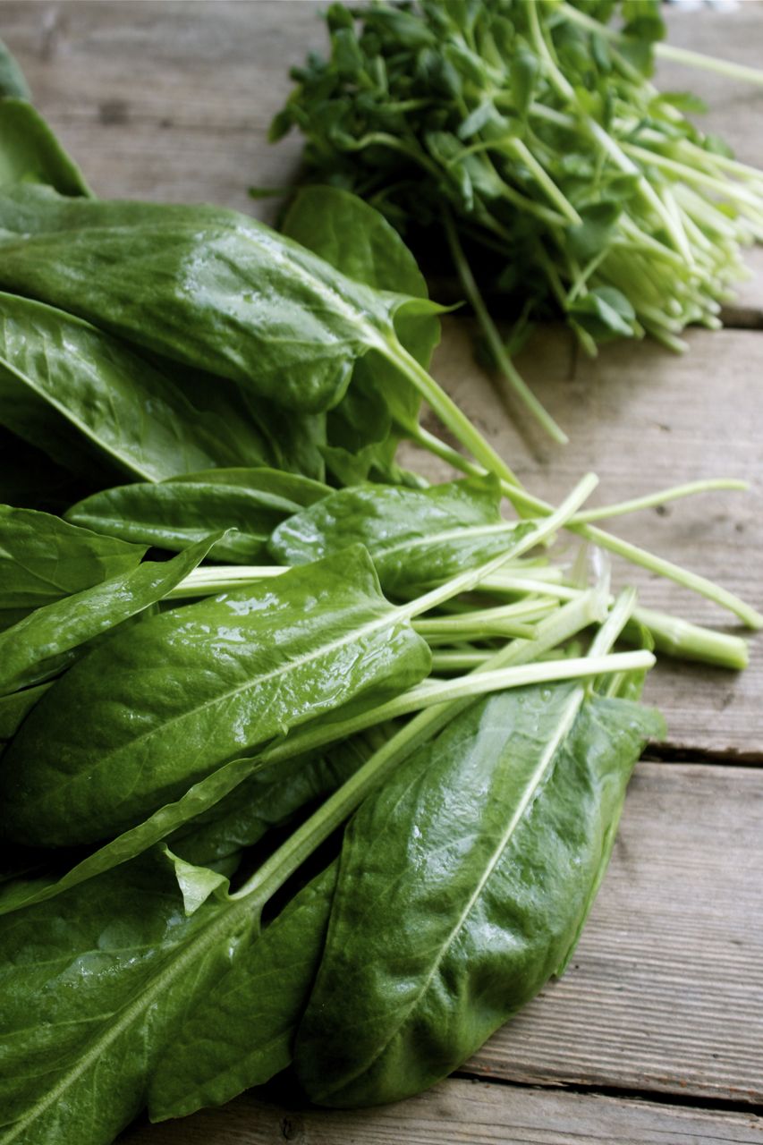 Celebration Salad & A 3 Ingredient Dressing Recipe | In Pursuit of More