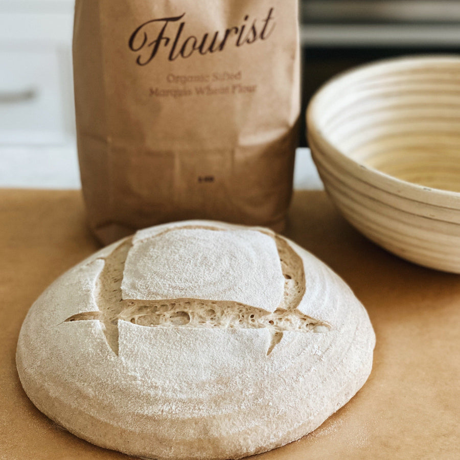 Organic Sifted Marquis Wheat Flour